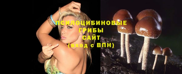 PSILOCYBIN Абинск