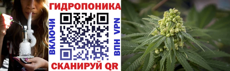 Шишки марихуана THC 21%  Холм 